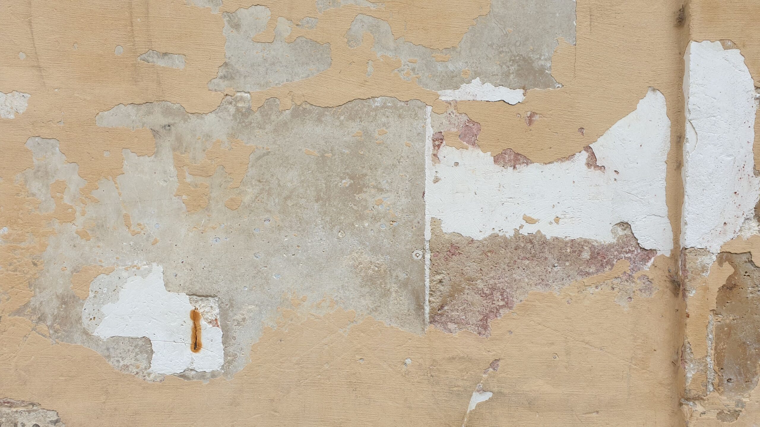 A detailed view of a cracked and peeling wall with a textured surface.