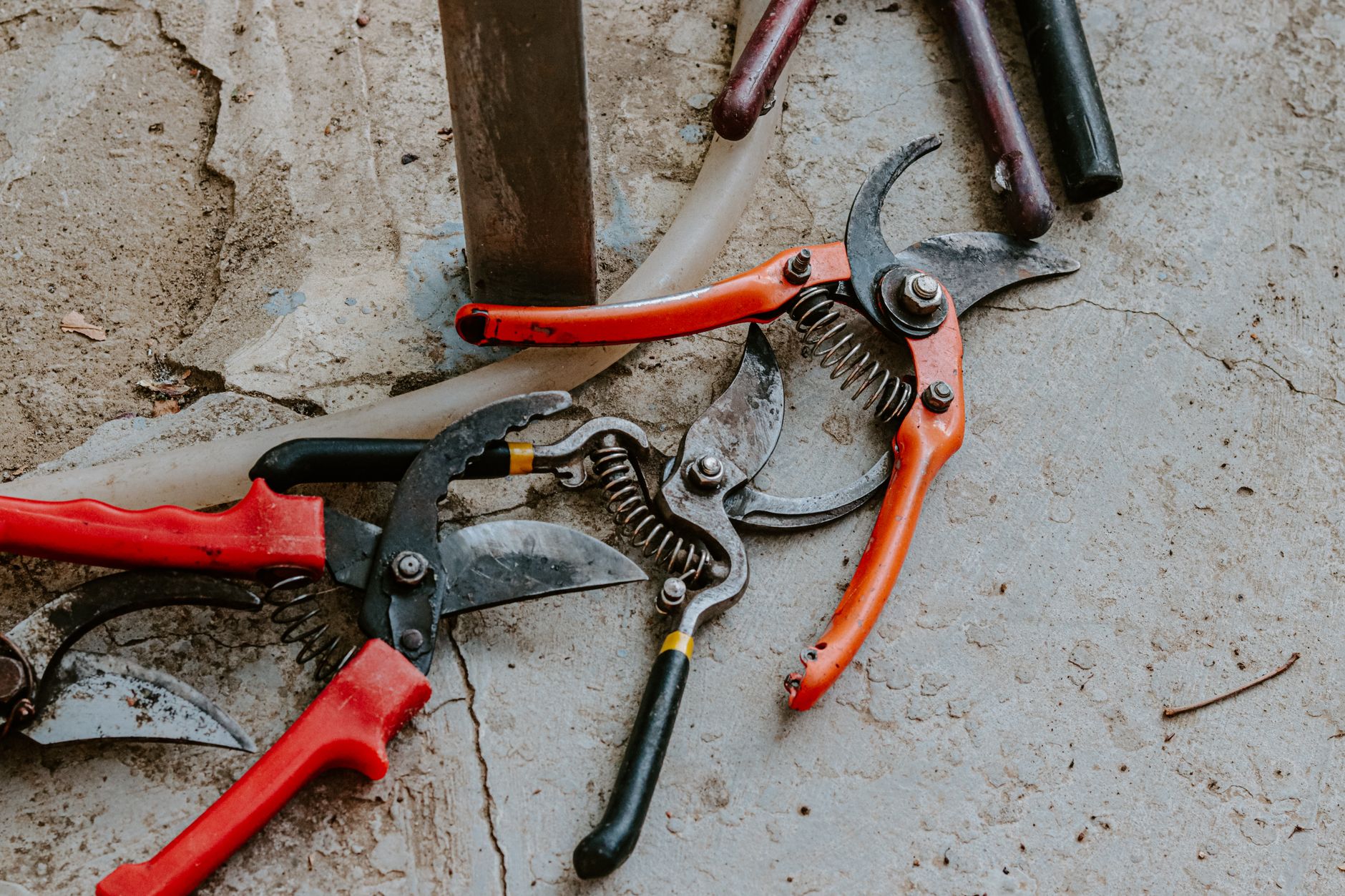 sharpen tools, garden tools, tool maintenance