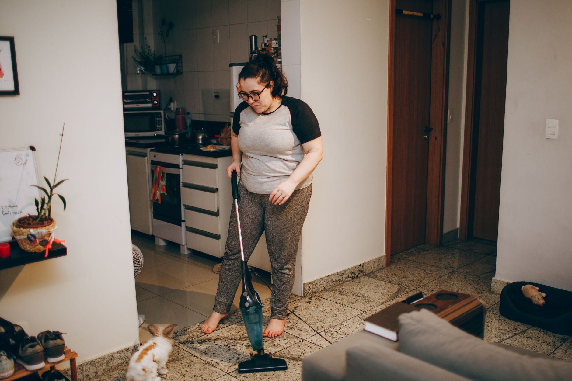 pet vacuum, pet hair vacuum, dog hair vacuum