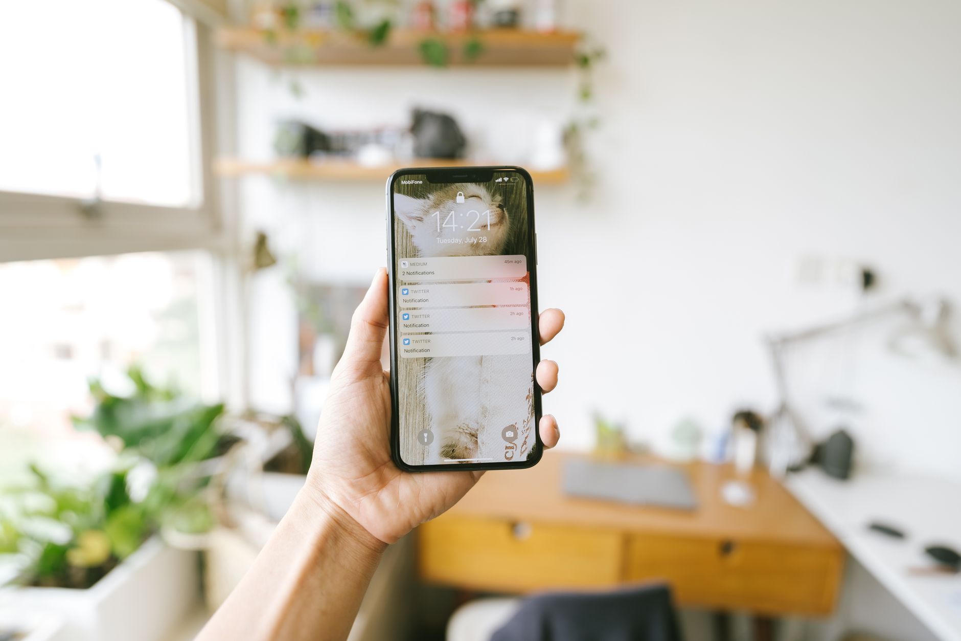 notification detox, phone notifications, reduce notifications