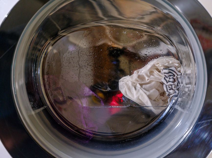 Dryer lint collected from trap