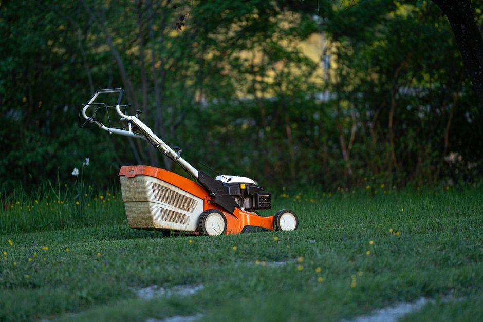Lush green spring lawn
