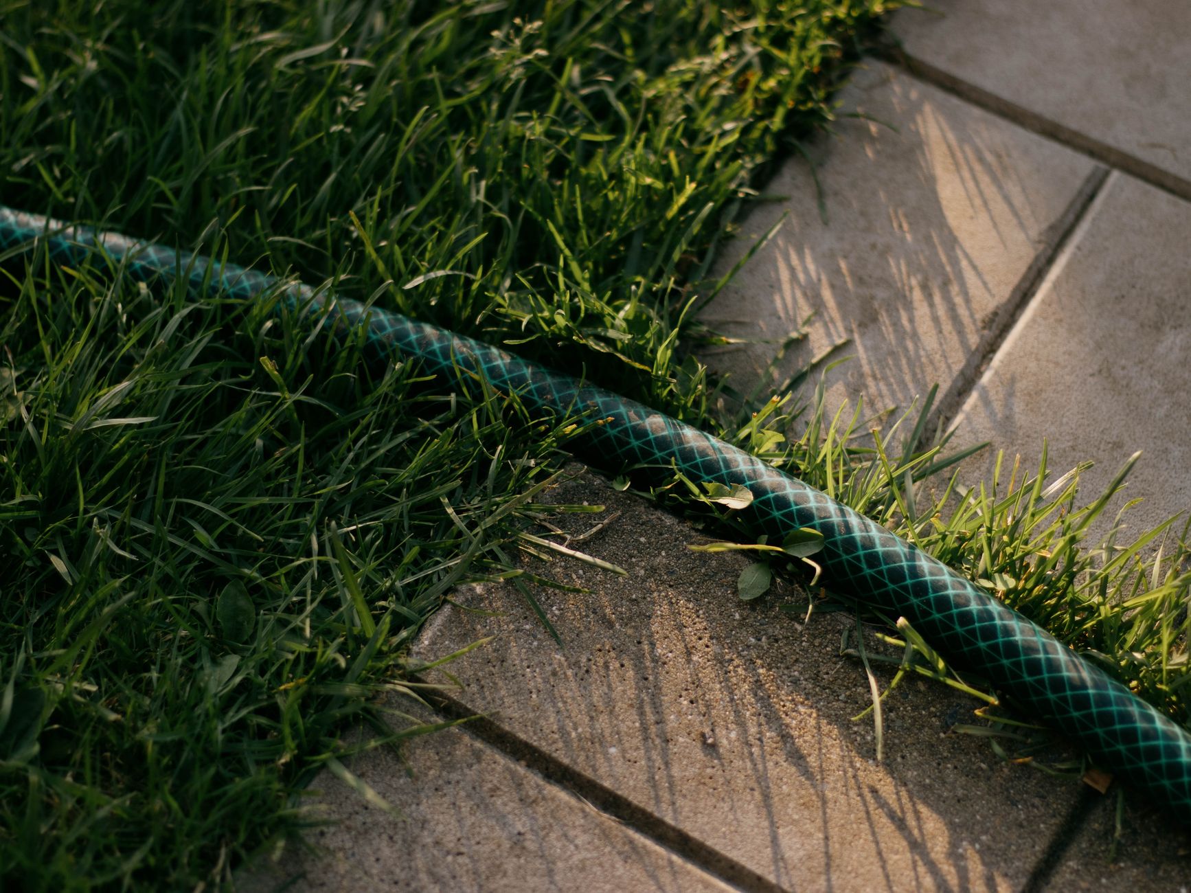 Efficient lawn sprinkler watering green grass