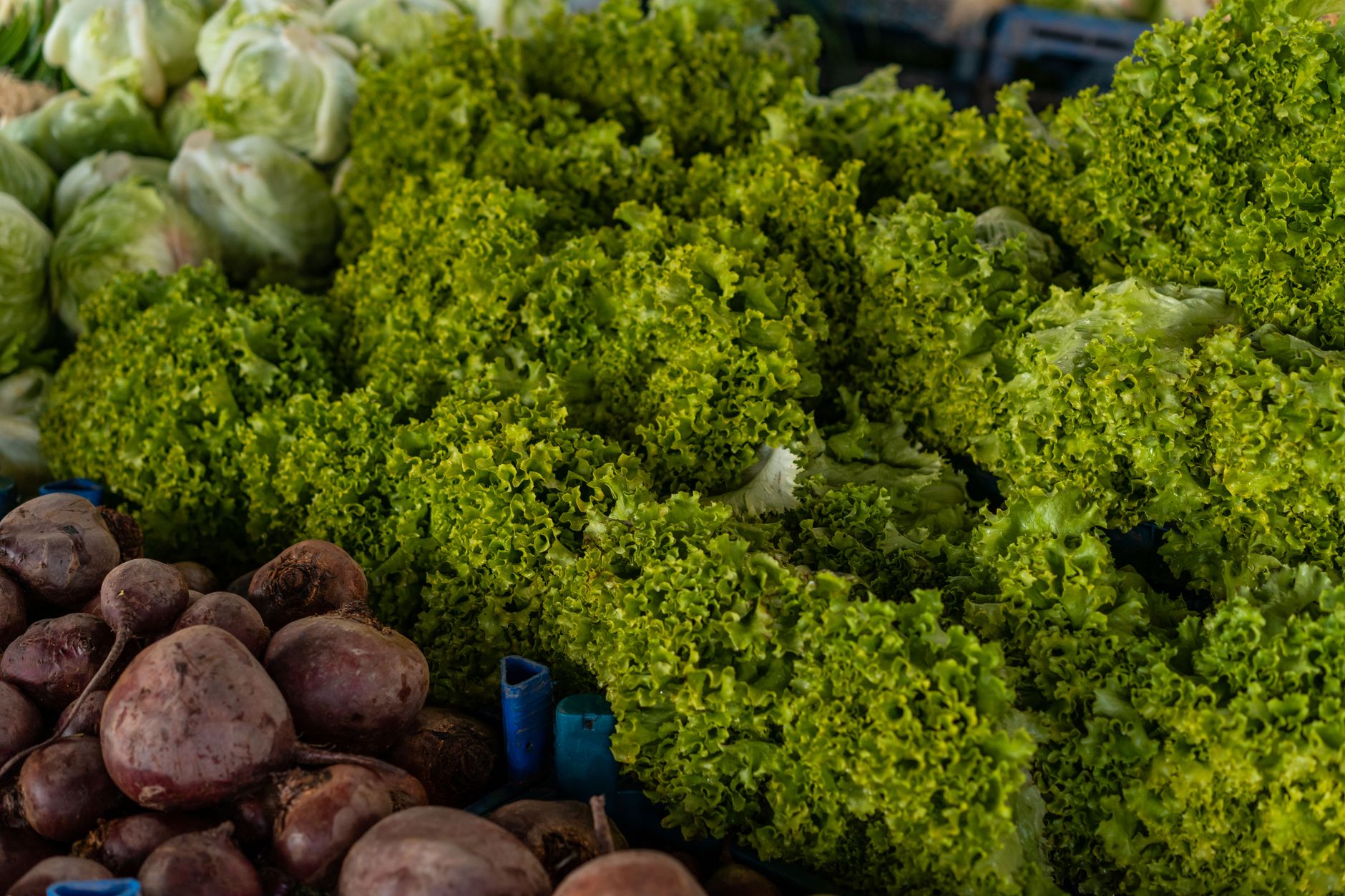 lettuce storage, crisp lettuce, salad prep, kitchen hack