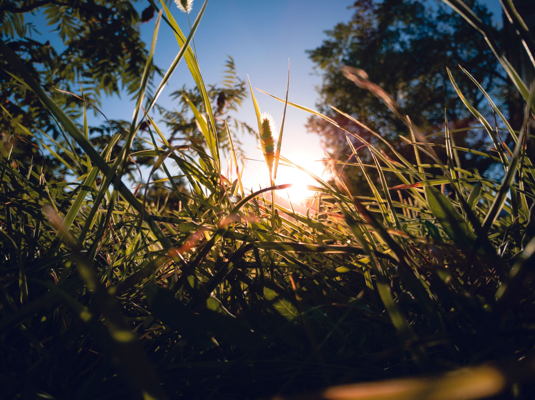 vitamin D indoor, sunlight exposure, desk worker health, vitamin D foods