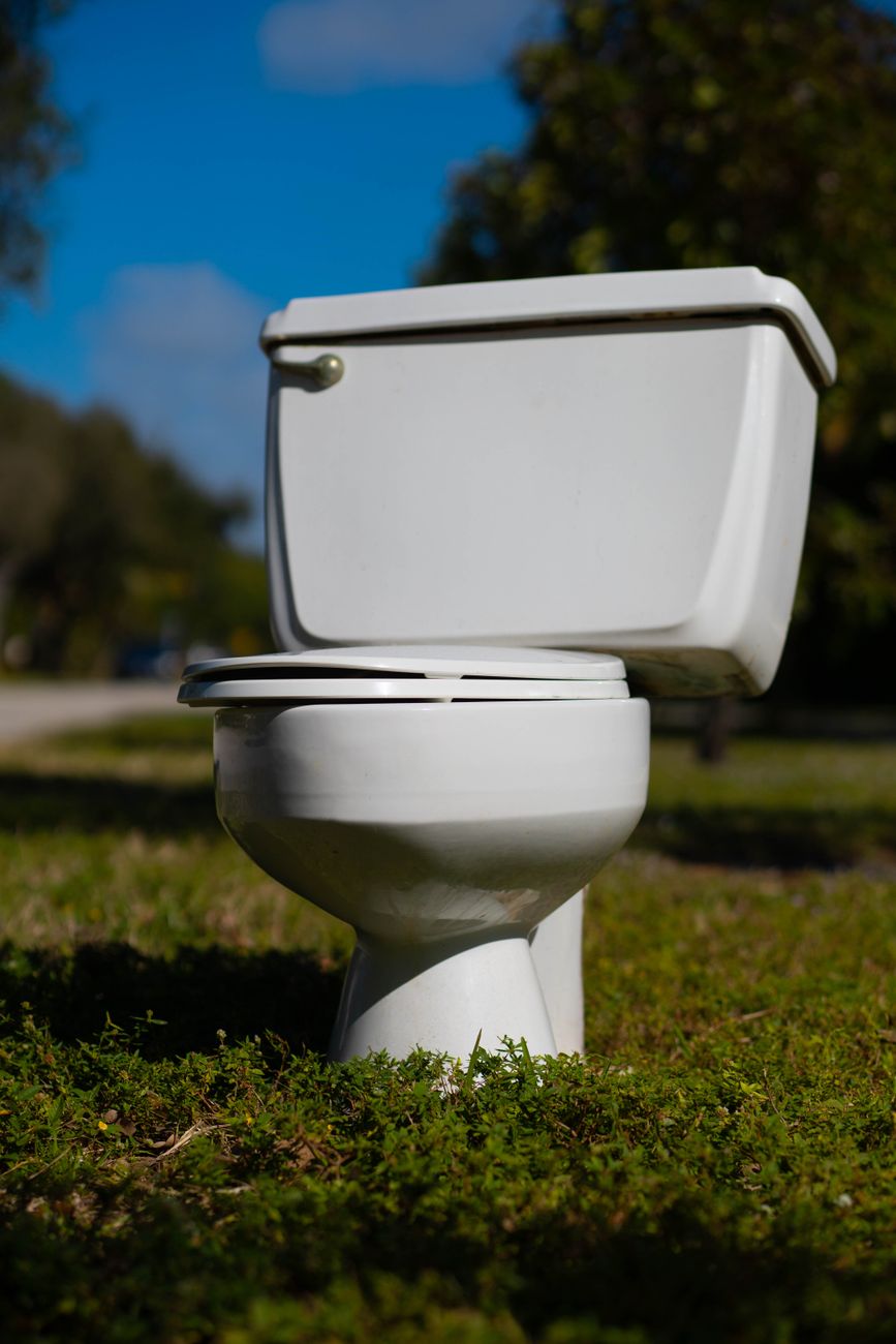 toilet repair, flapper replacement, water waste