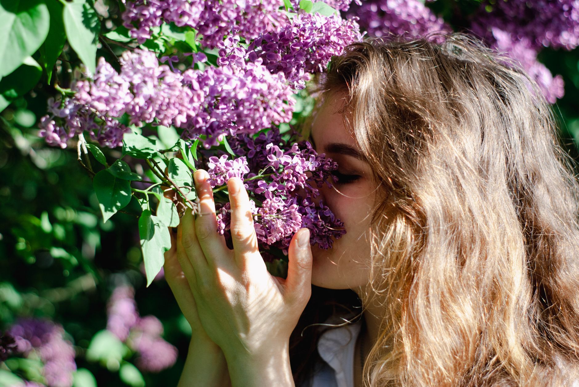 allergies, spring, pollen, night, bedroom, air purifier