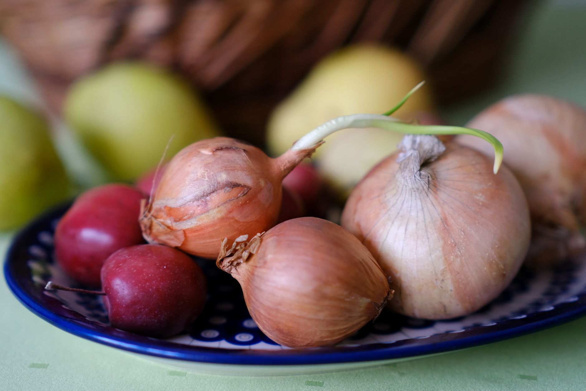 onion storage, keep onions fresh, prevent onion sprouting