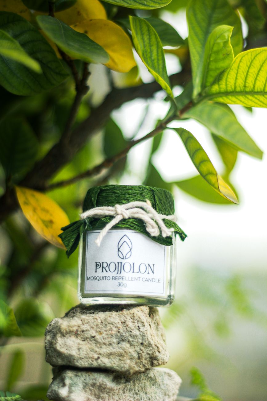 natural mosquito repellent, summer pests, citronella alternative
