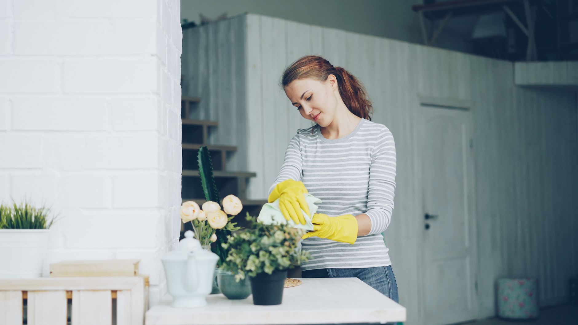 spring cleaning, cleaning checklist, deep clean, seasonal