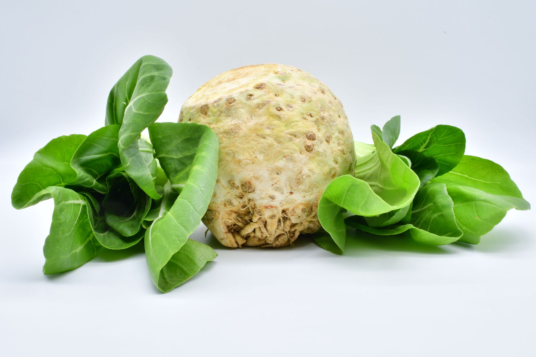 celery crisp, revive celery, celery water, celery storage