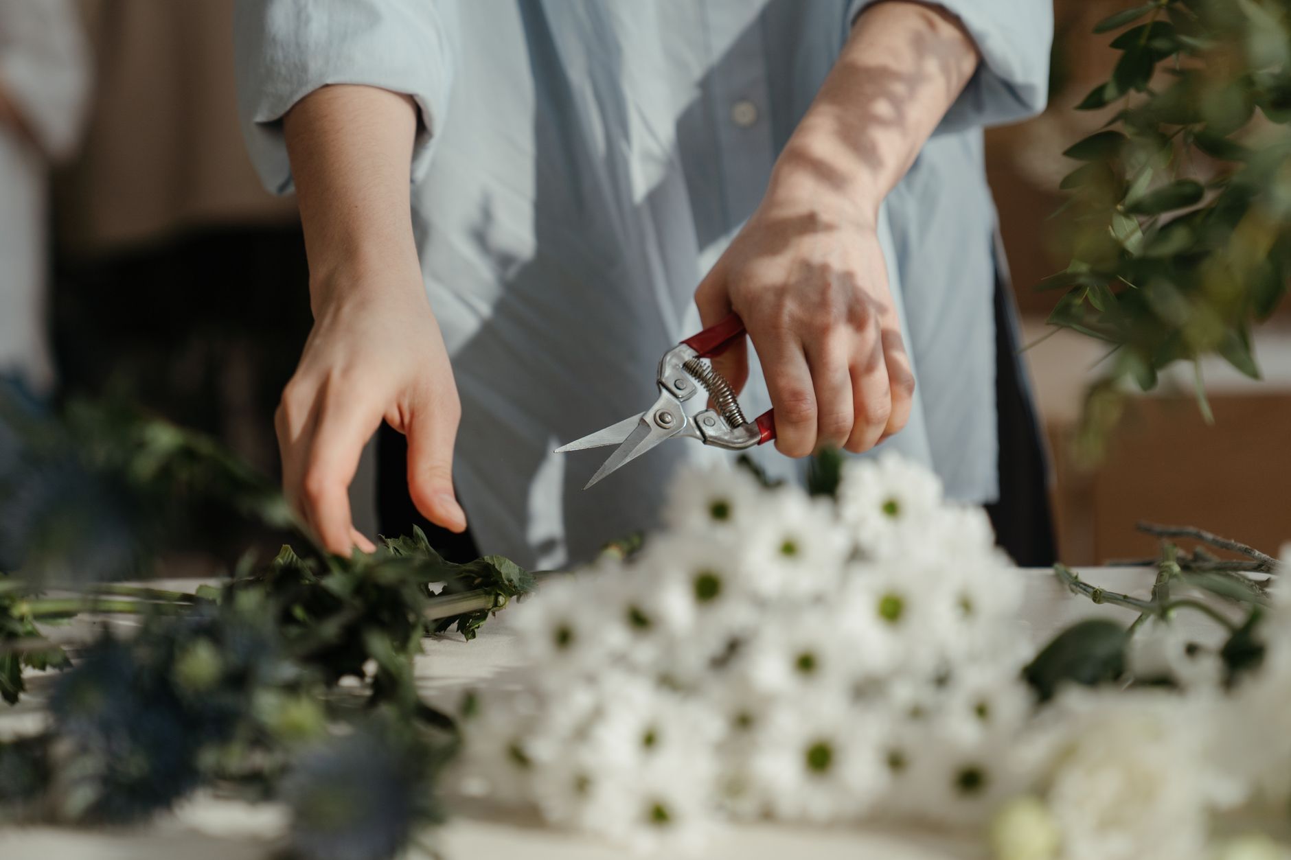 cut flower care, summer flowers, flower vase tips, floral preservative