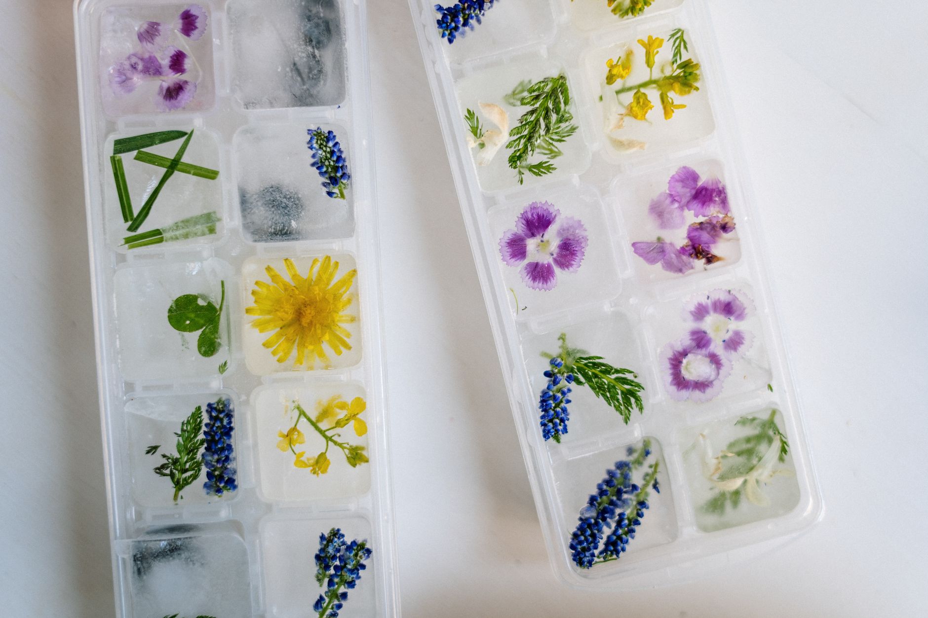 ice cube tray, herbs, freezing, meal prep, herb paste