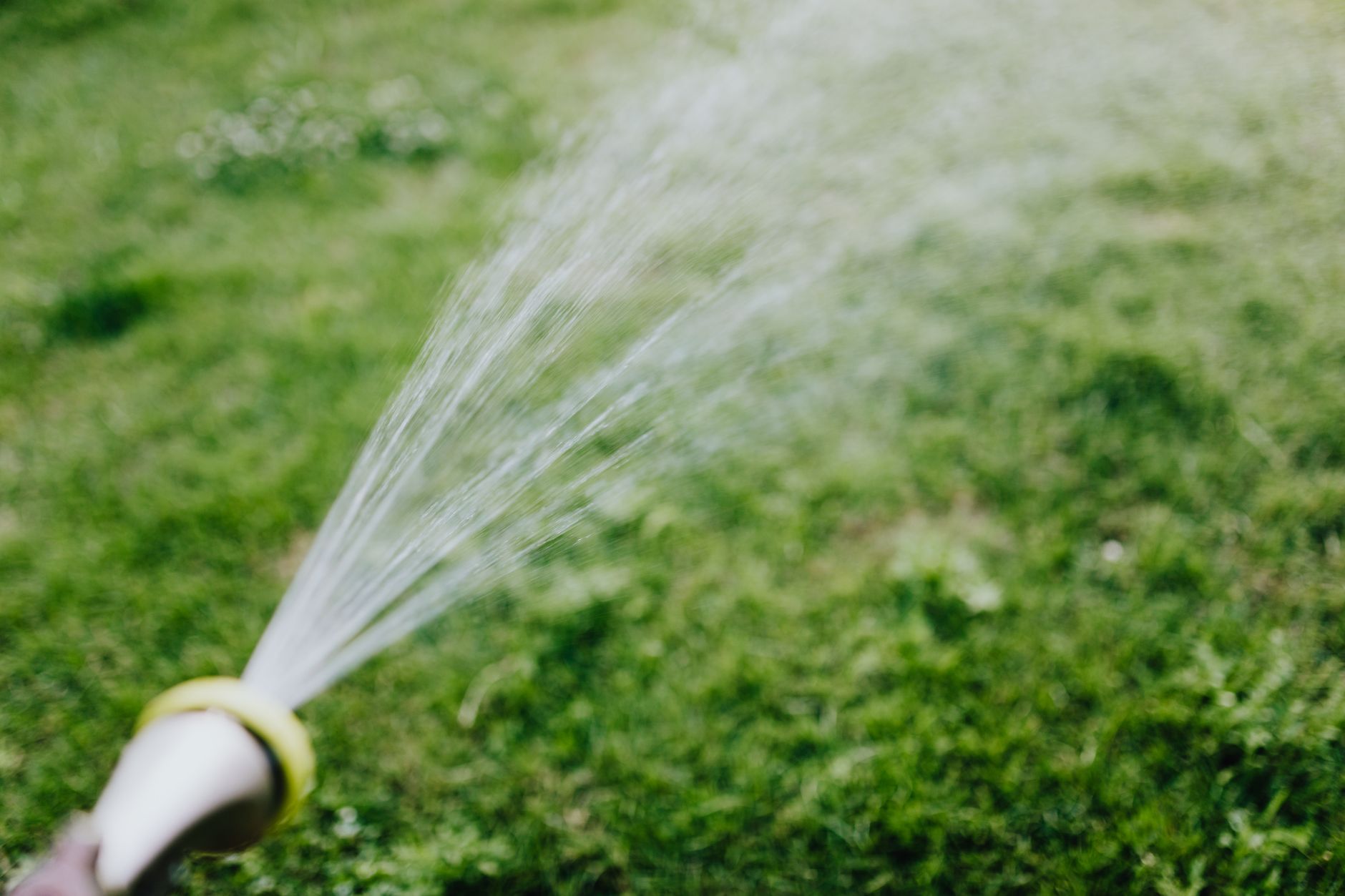 water lawn, heatwave, summer, timing, evaporation