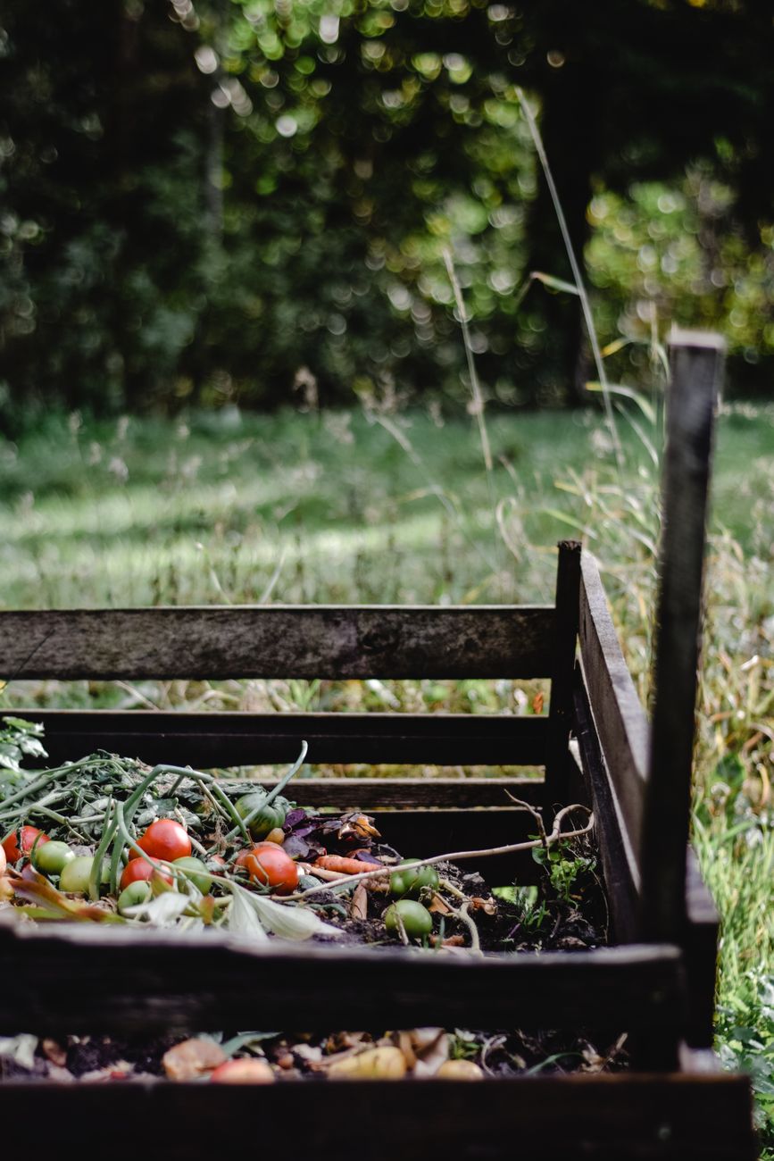 compost bin, garden DIY, wire mesh, zero waste