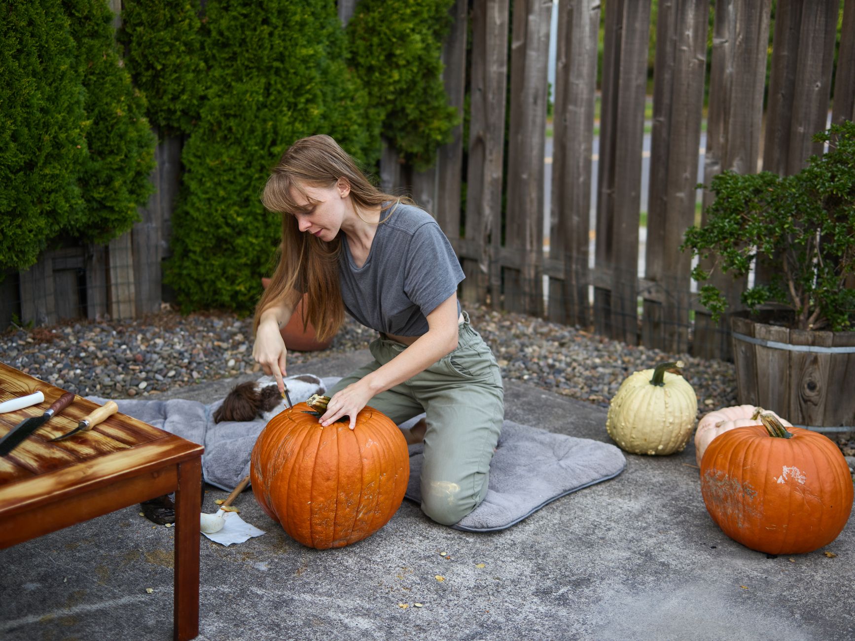 Halloween hacks, pumpkin tools, kitchen tools reuse