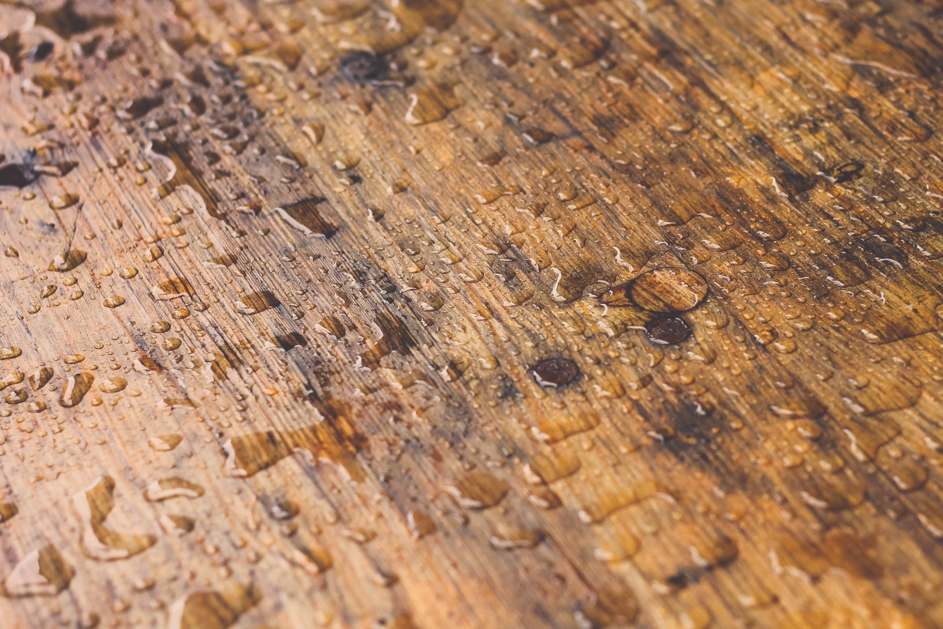 water stains, wood furniture, mayonnaise, iron method, restore furniture