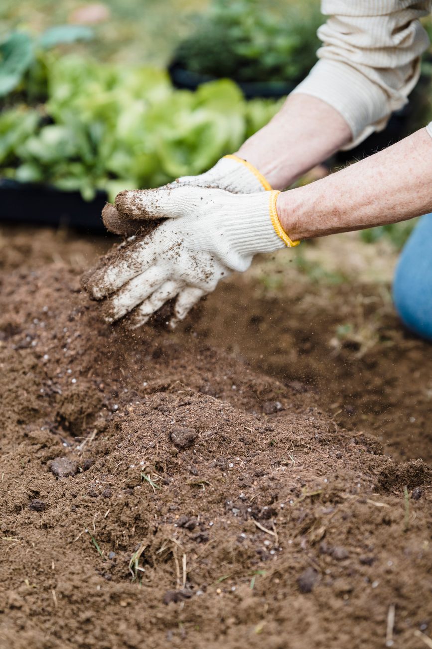 garden soil preparation, spring gardening, soil amendment, beginner gardening