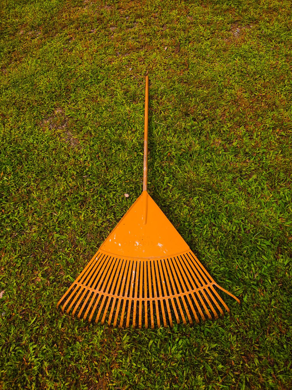 fall leaf cleanup back pain