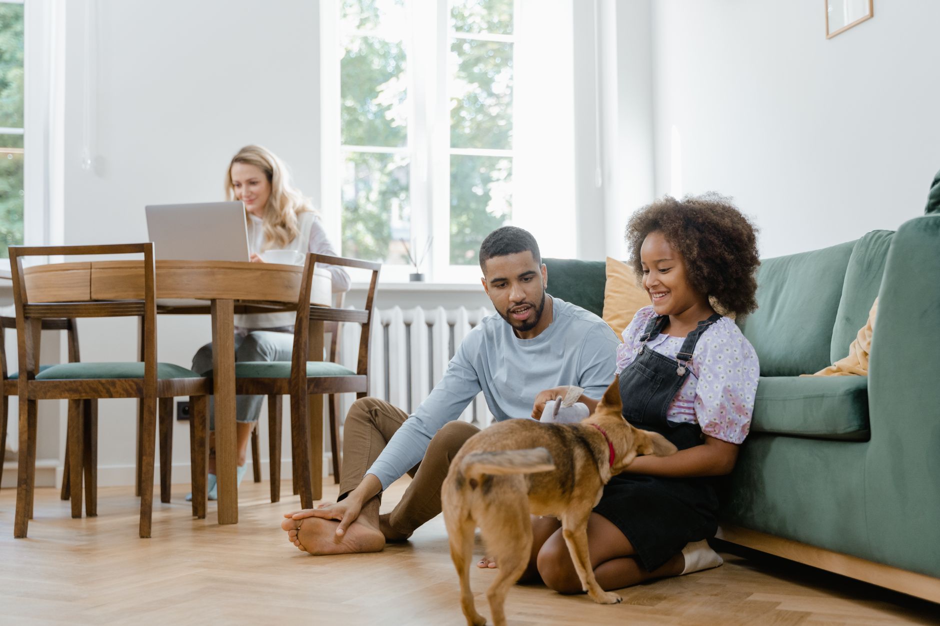 pet hair, furniture, cleaning, rubber gloves, squeegee