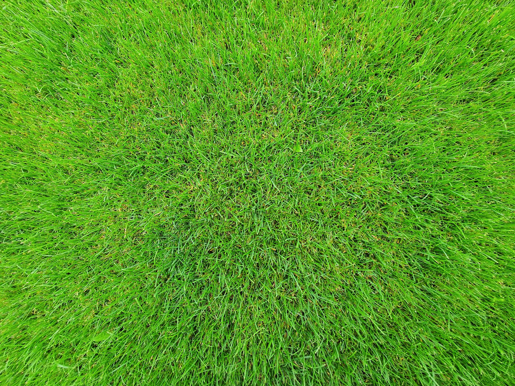 water lawn, summer, save water, timing, sprinkler