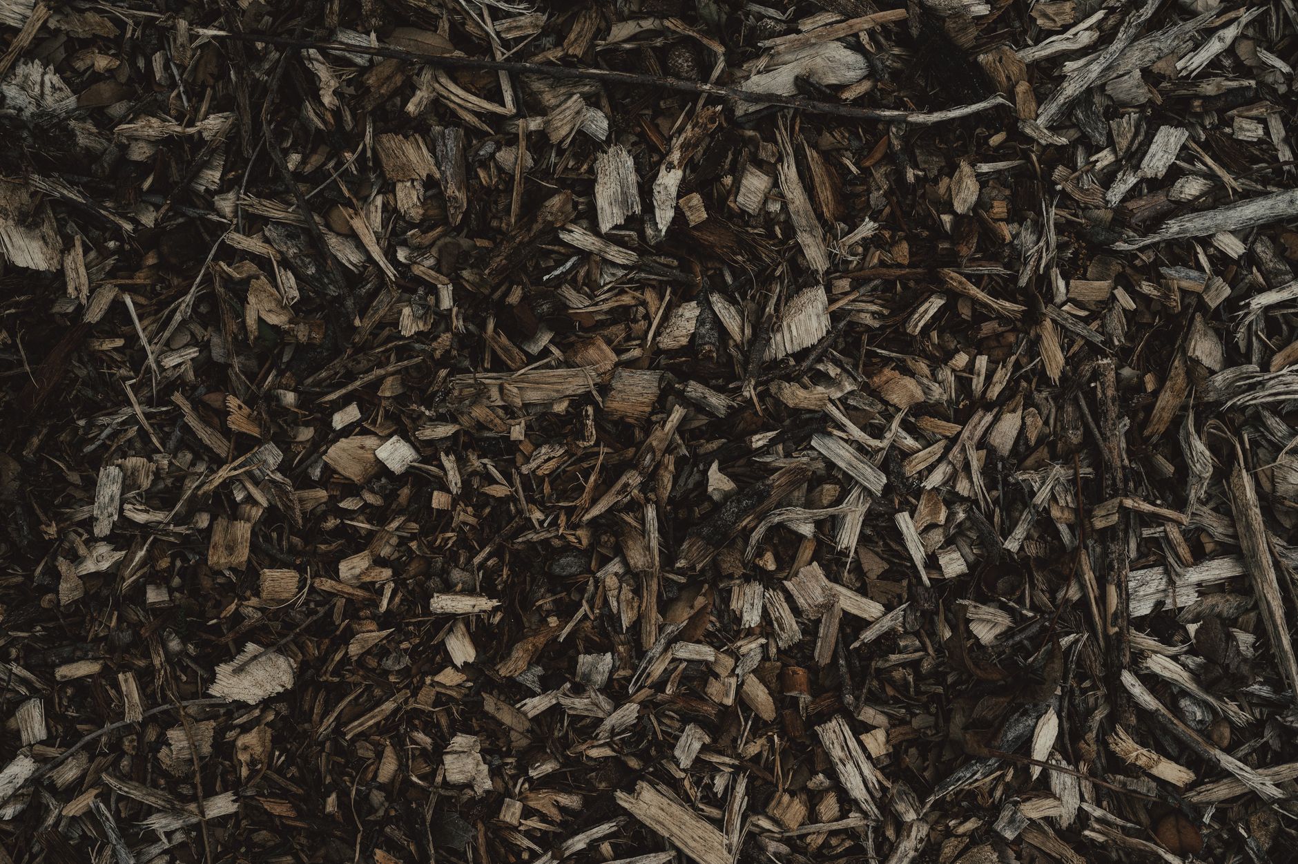winter mulch, garden, fall, plants, protect