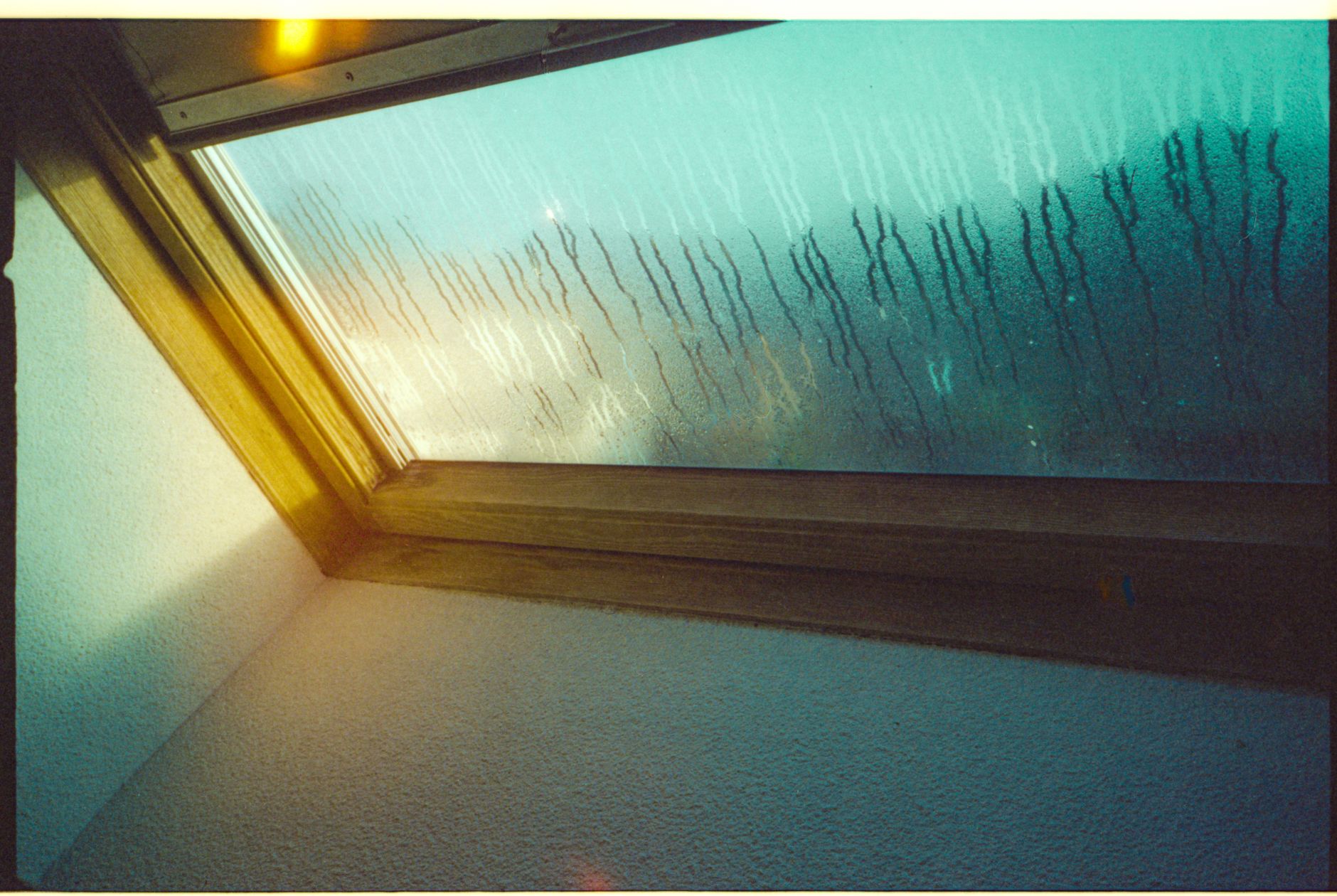 musty smell, moisture, dehumidifier, mold, basement, bathroom fan