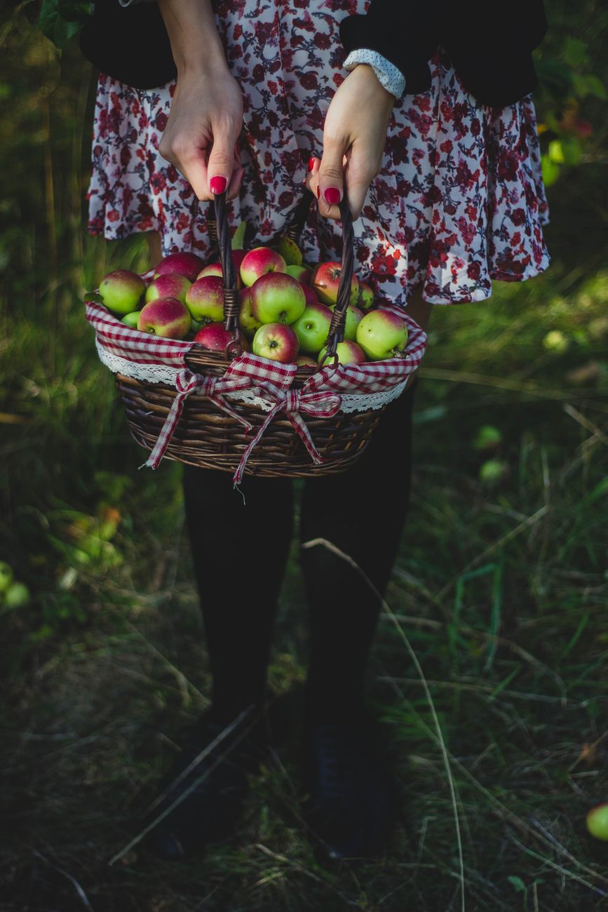 store apples, apple storage, keep apples crisp, apple cellar, fruit storage