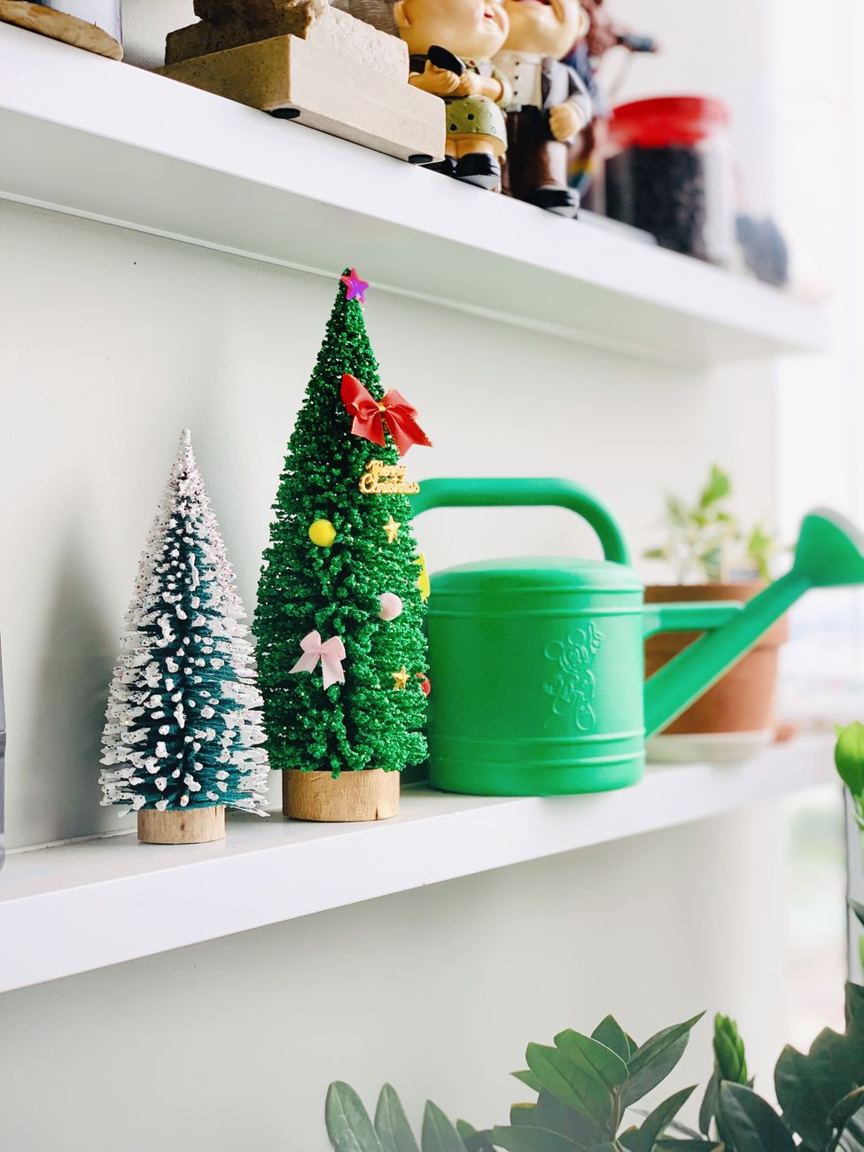 christmas tree, tree fresh, water tree, holiday tree
