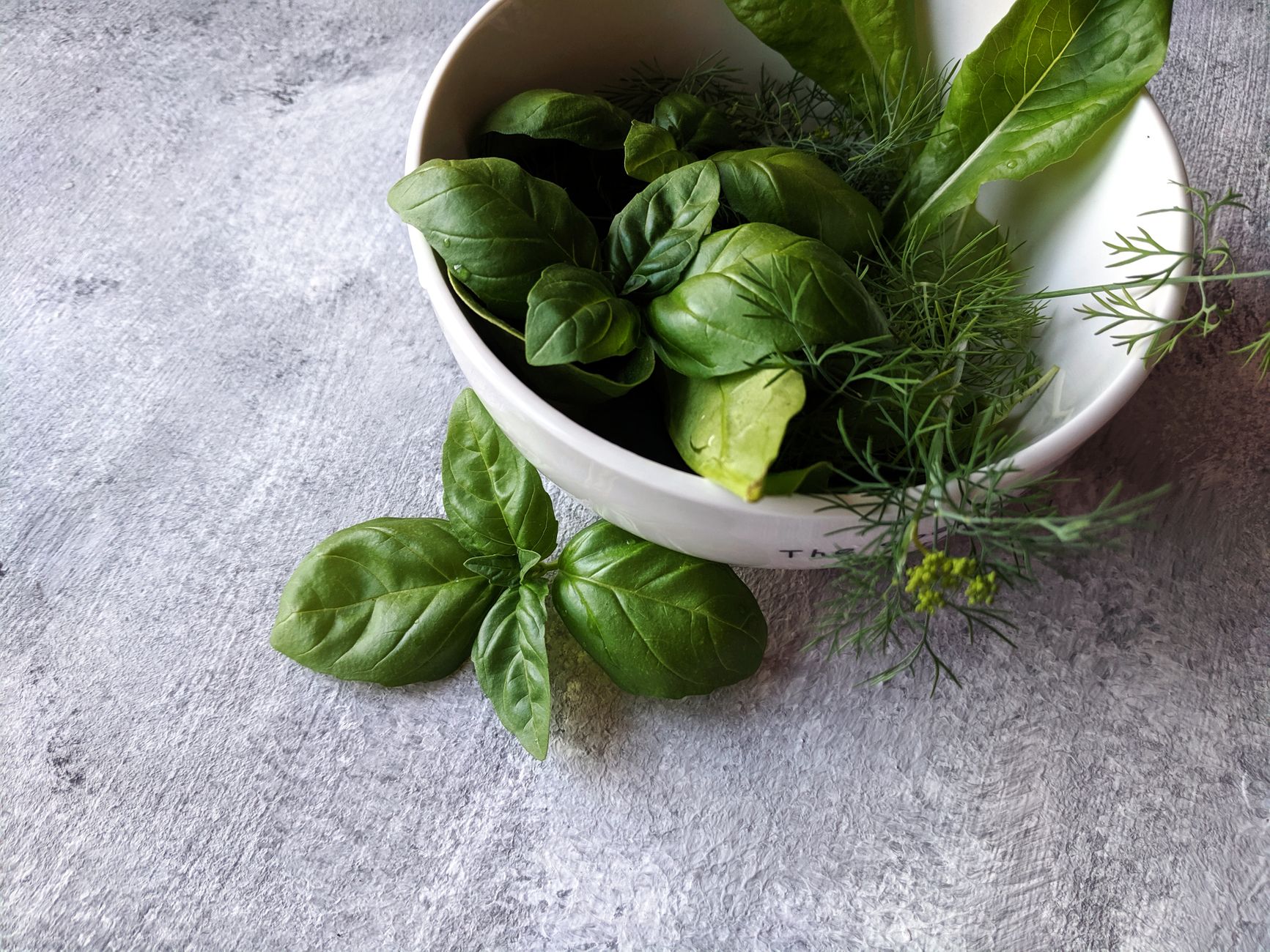 freeze herbs, ice cube tray, olive oil, herb preservation, meal prep