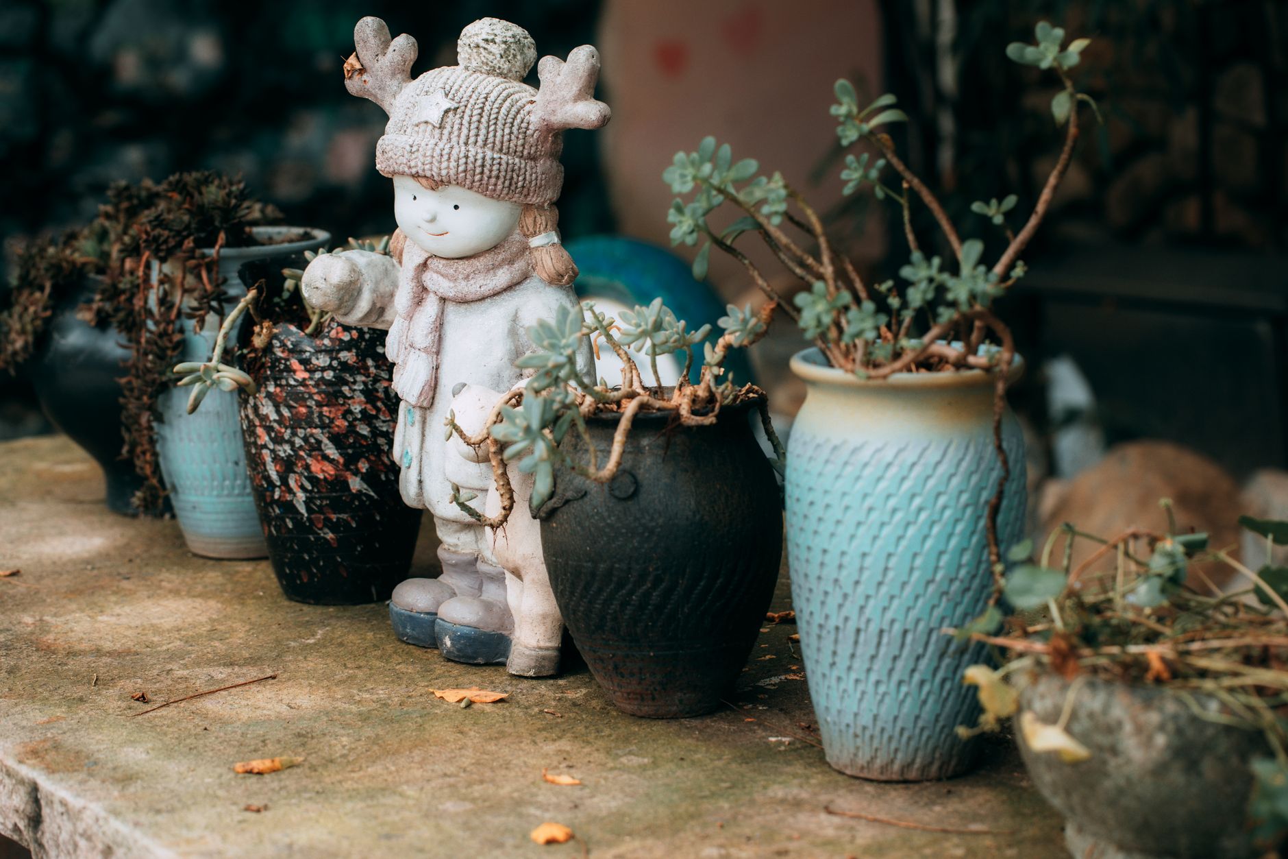 potted plants, cold snap, protect, frost, cover