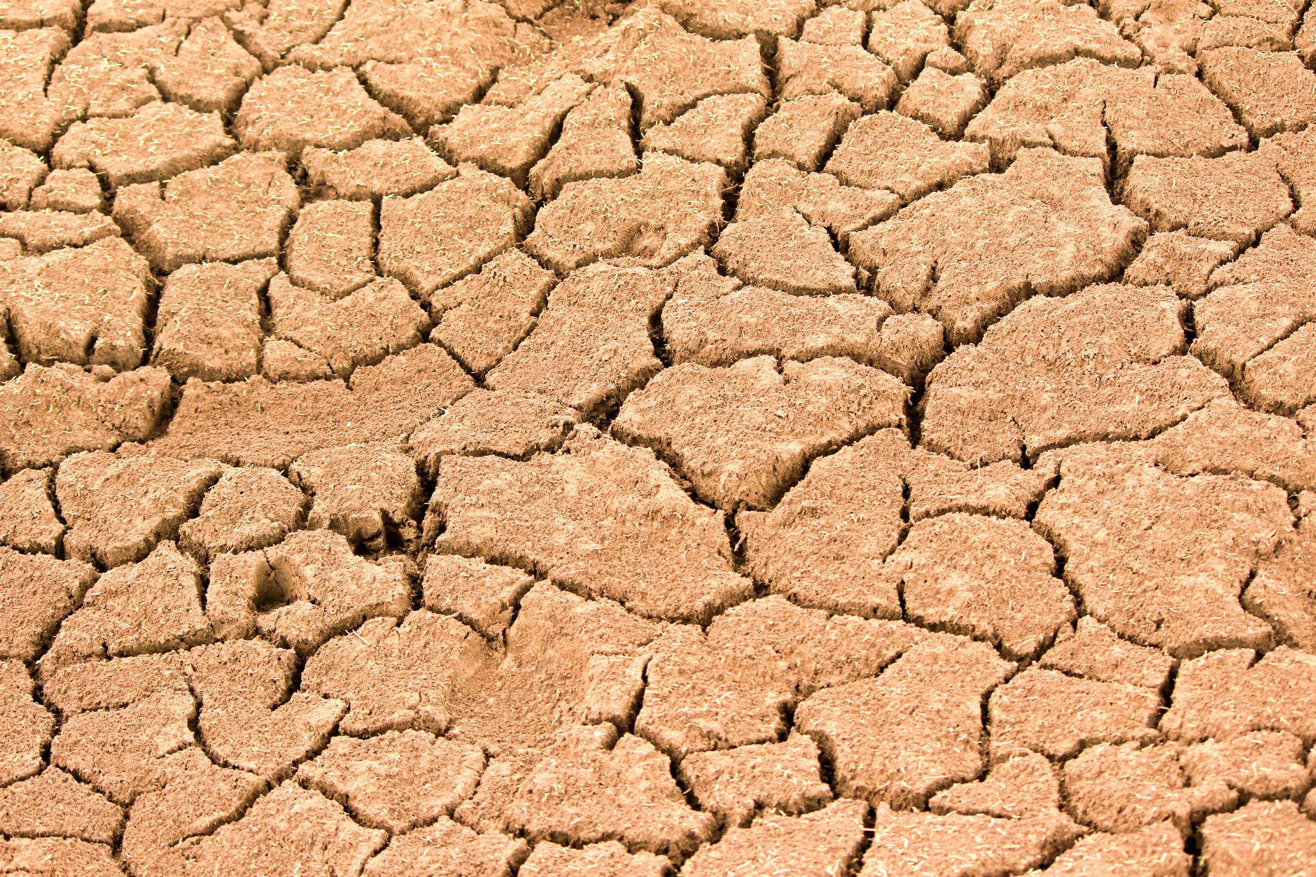 dehydration signs, water intake tips, hydration check, skin pinch, urine color
