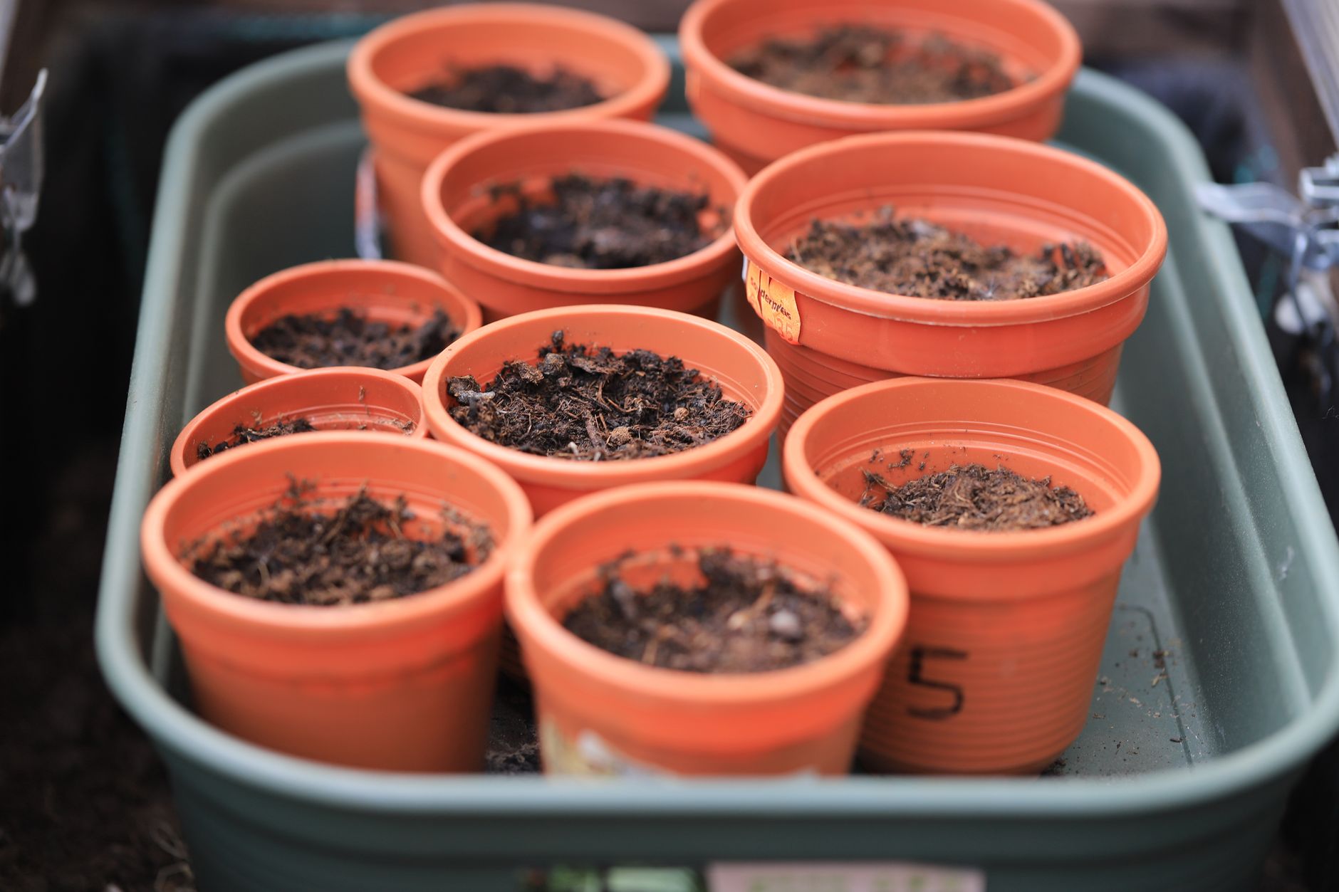 plant pot reuse, garden cleanup, upcycle plant container, nursery pot recycling