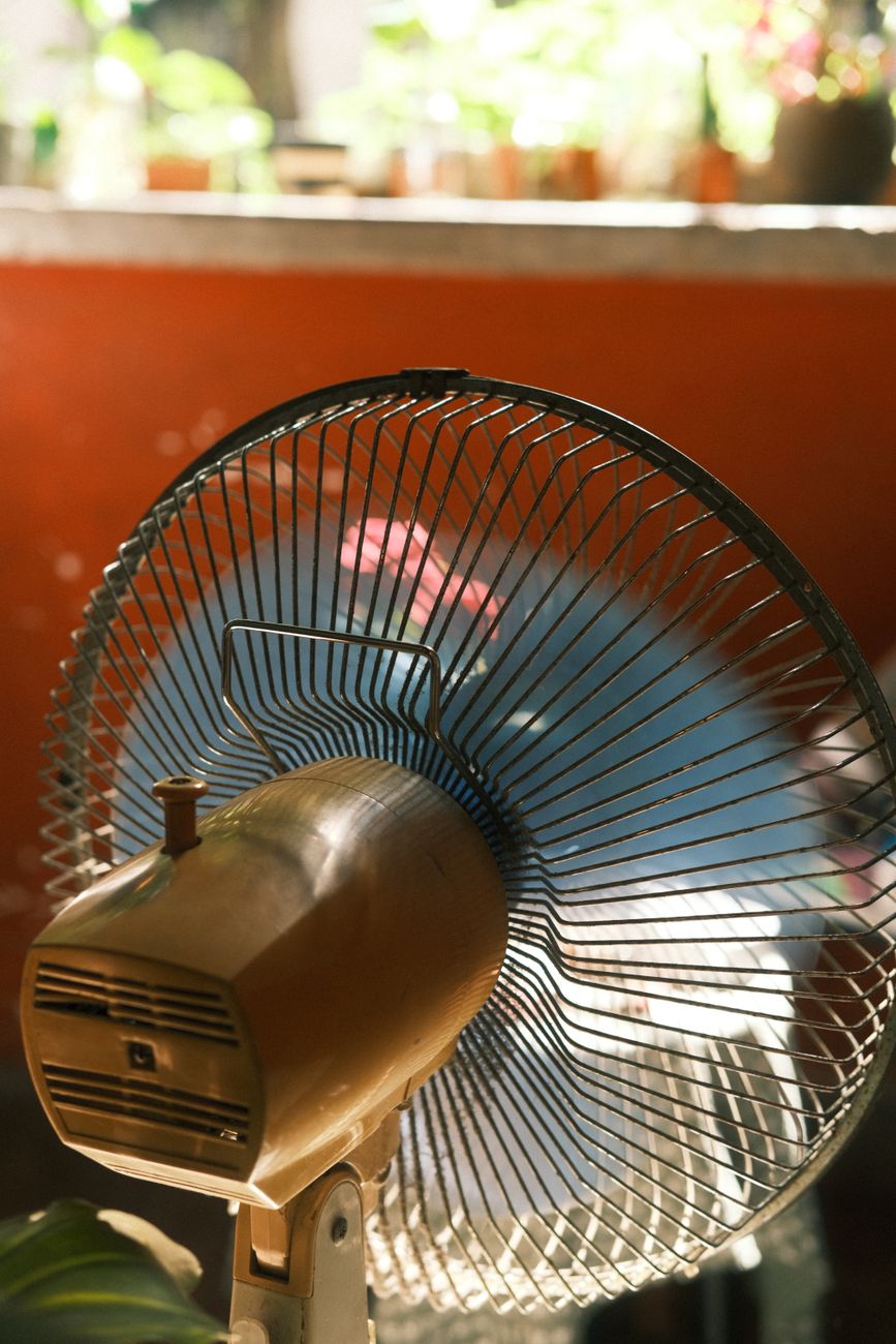 cool house, heatwave, no ac, summer tips, energy saving