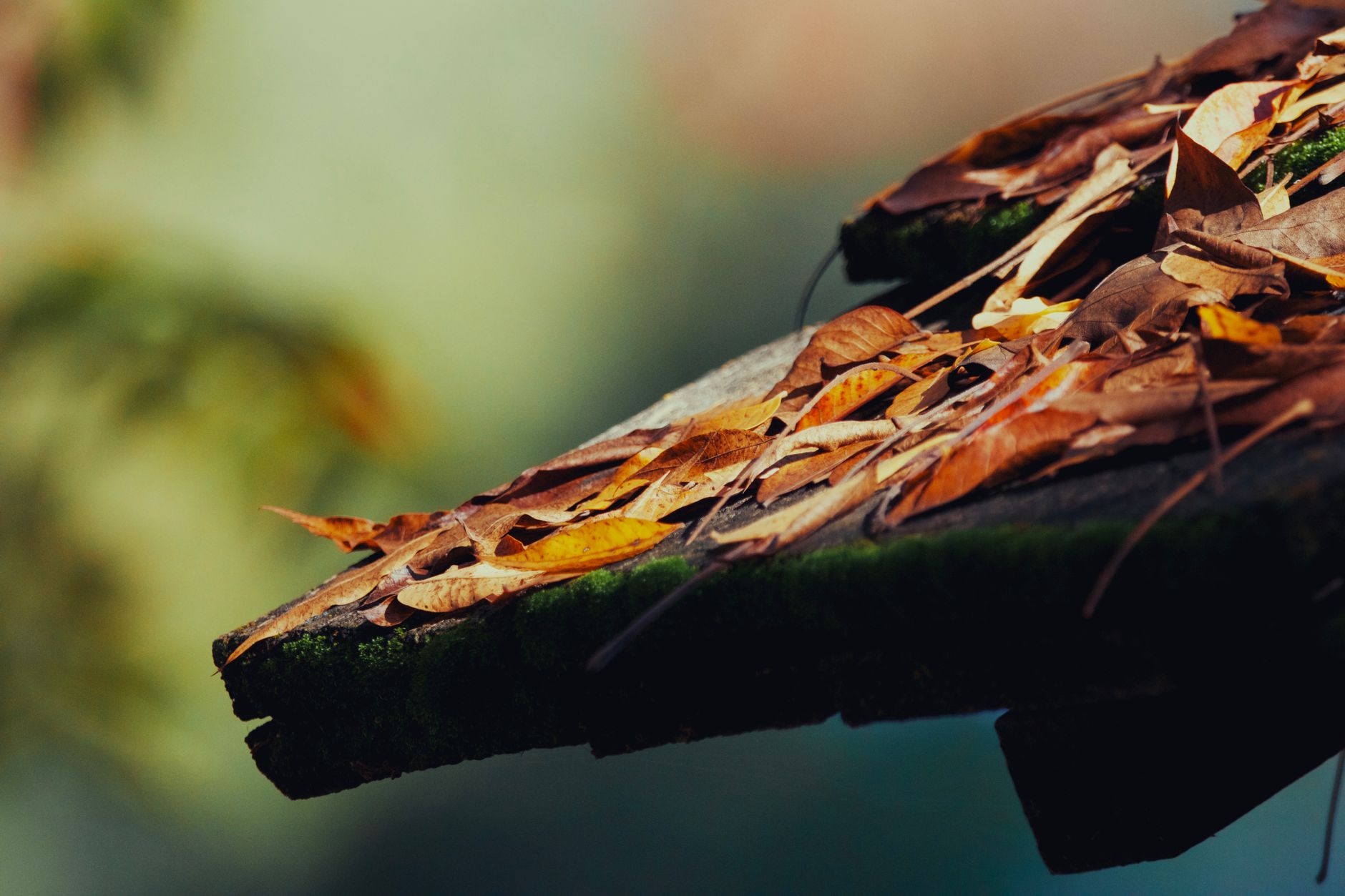 clean gutters, fall leaves, clogged gutter, fall maintenance