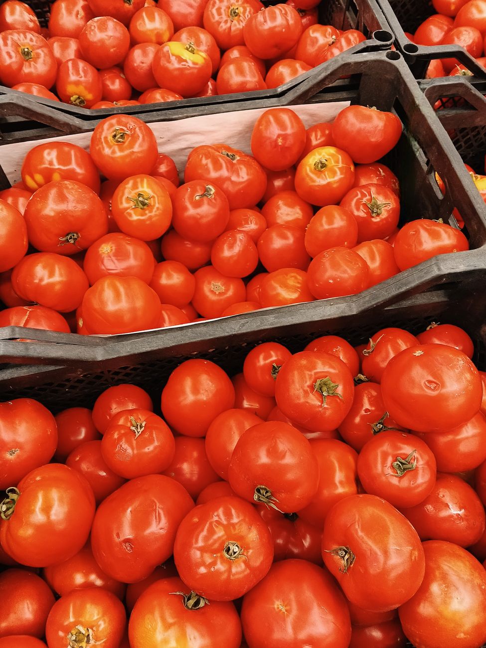 tomatoes, stem down, storage, fresh longer, produce tip
