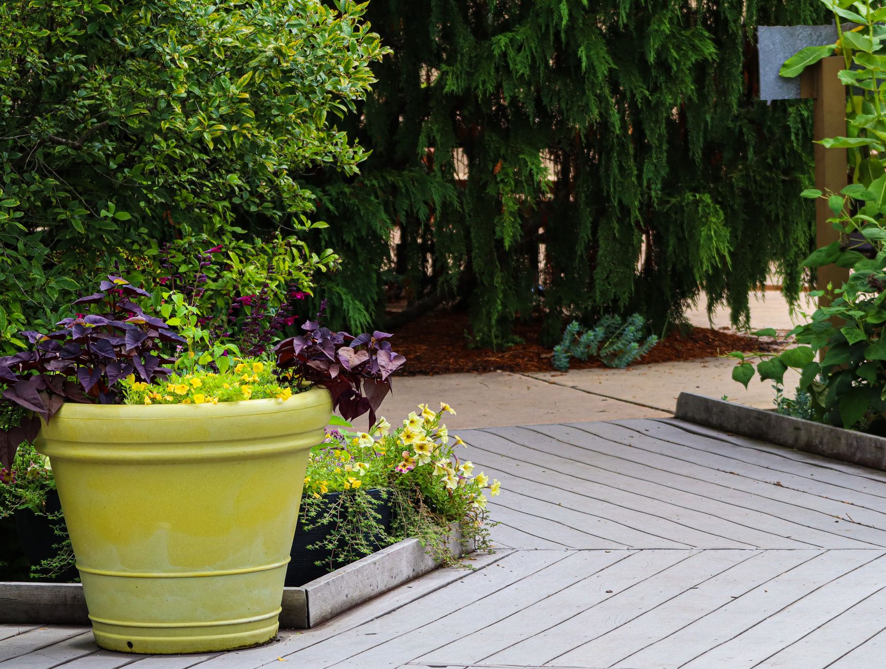 deck cleaning, wood deck, deck care, home maintenance, outdoor diy