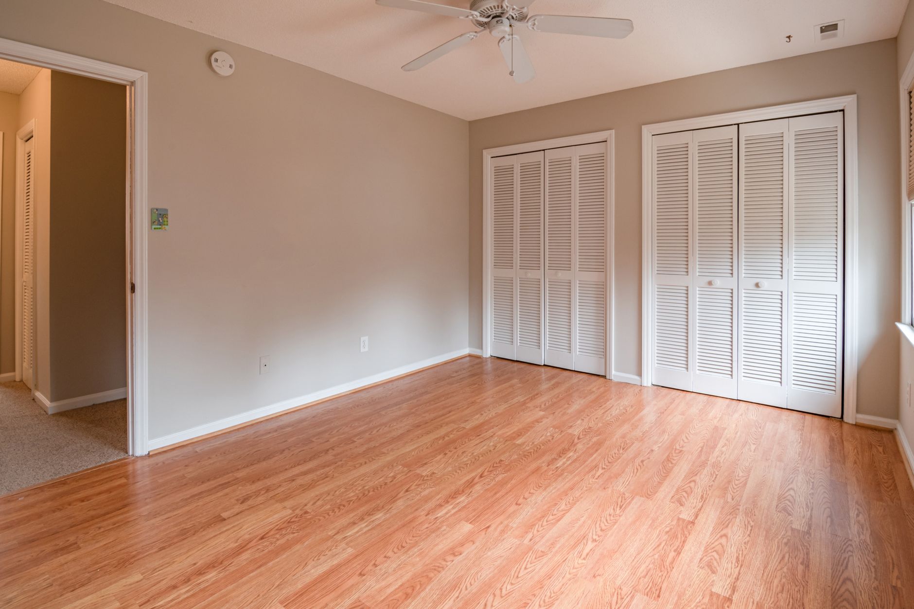 winter closet, moisture control, mold prevention, damp closet