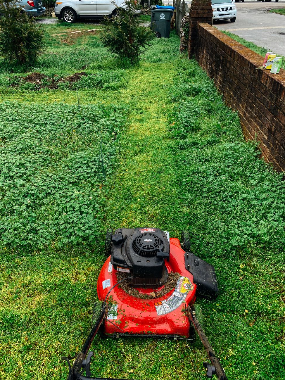 fall lawn care, September lawn, winterize lawn, grass fertilizer, lawn prep