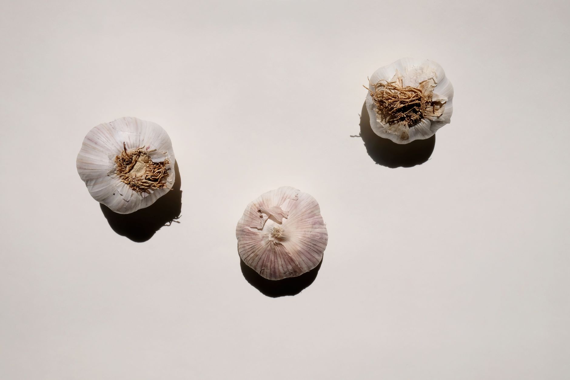 store garlic, garlic sprout, garlic storage, pantry hack, kitchen tip