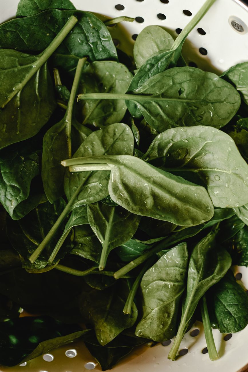 iron deficiency, fatigue cause, anemia signs, pale skin, diet iron