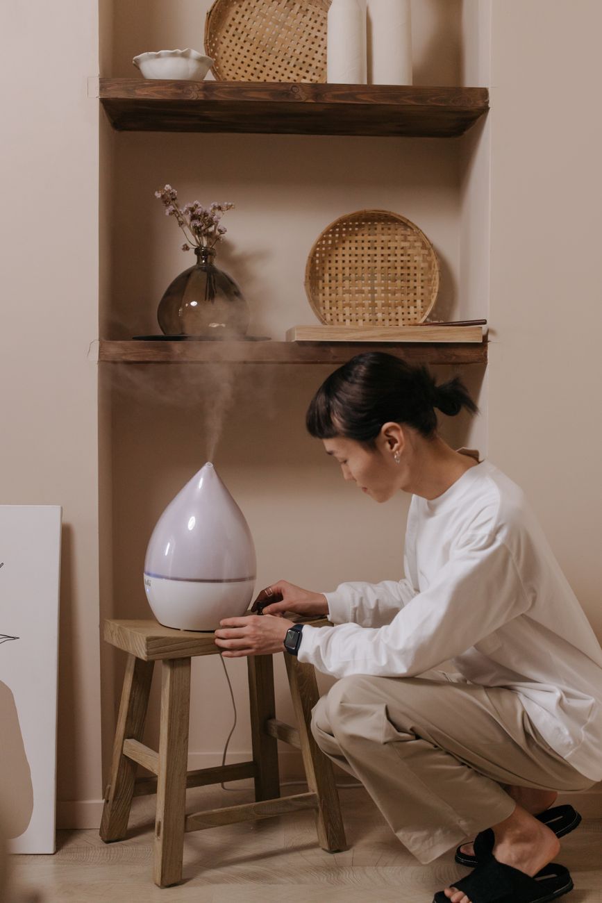 quiet dehumidifier, small dehumidifier, apartment moisture, basement damp fix