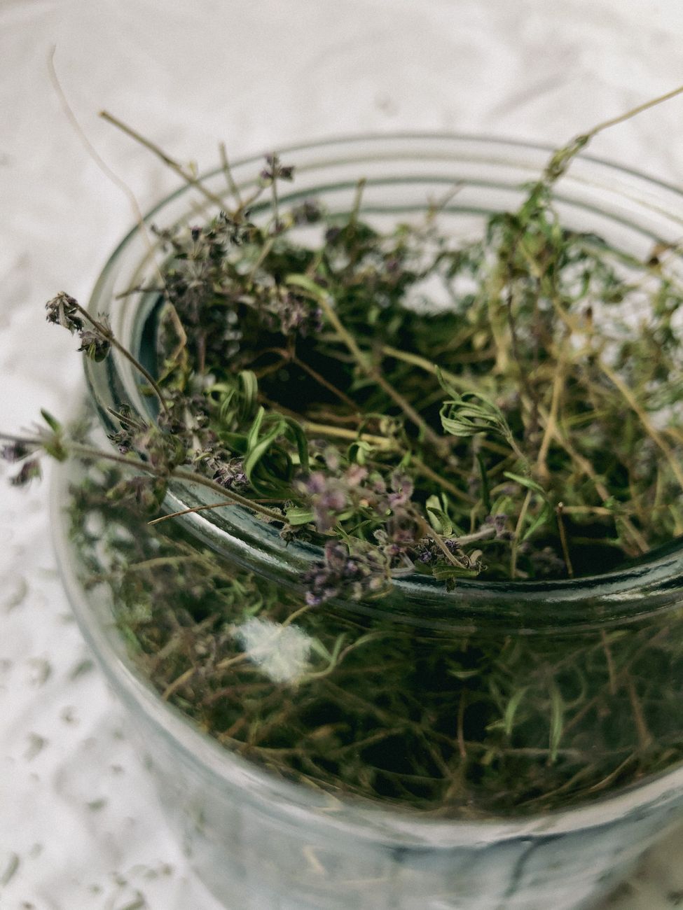 fresh herbs, herb storage, cilantro, parsley, paper towel, jar method