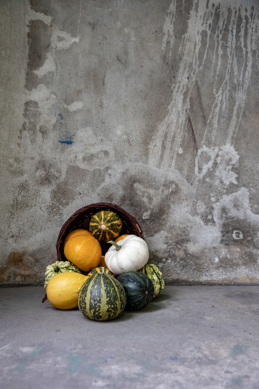 store winter squash, squash storage, butternut squash, curing squash, root cellar