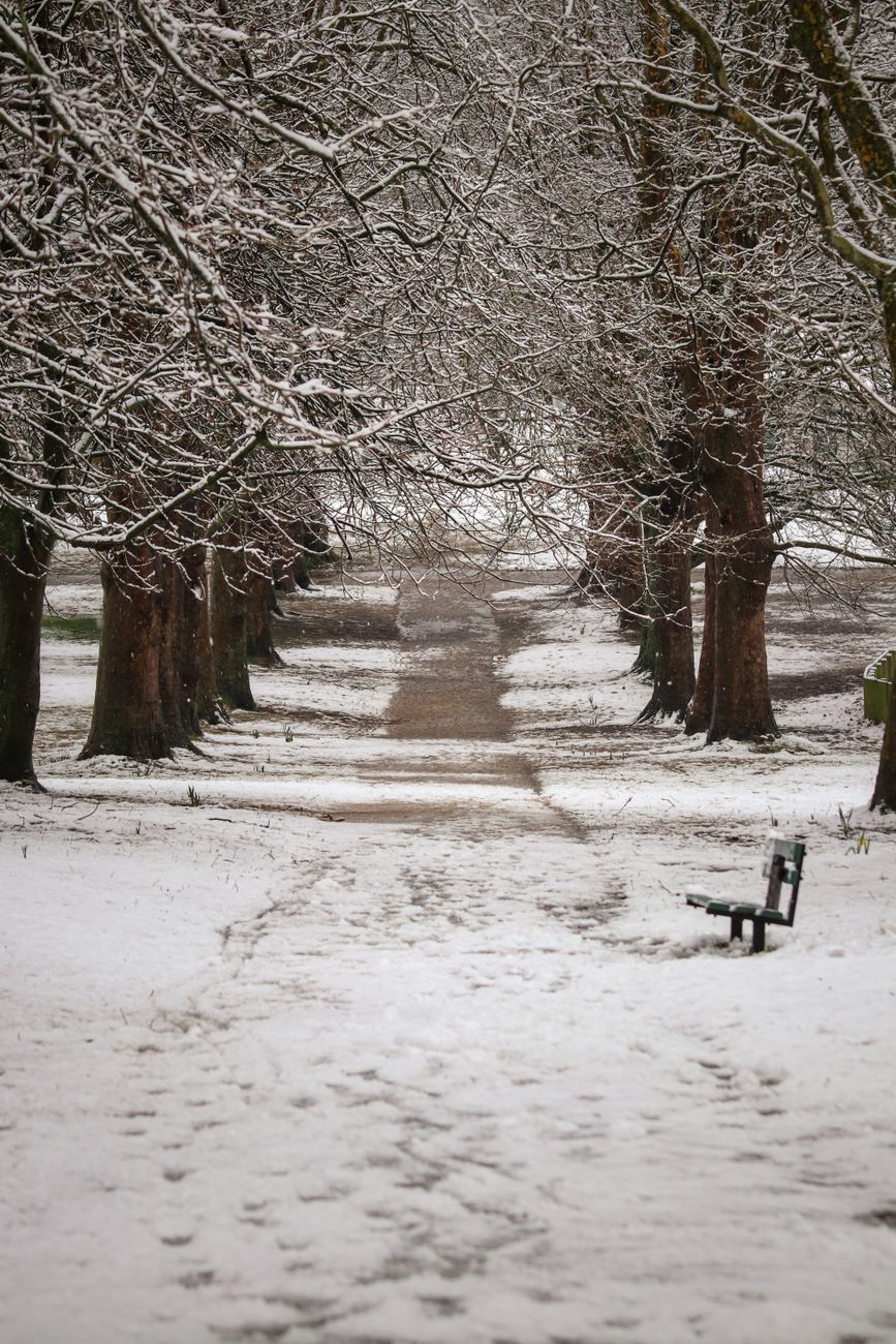 winter walking, cold weather exercise, walk in winter, outdoor winter fitness, layering for walks