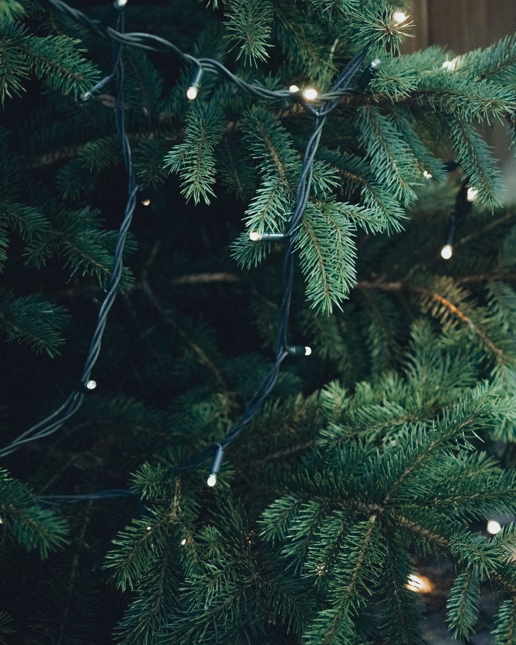 holiday lights check, string lights test, christmas lights safety, light storage, holiday decorating