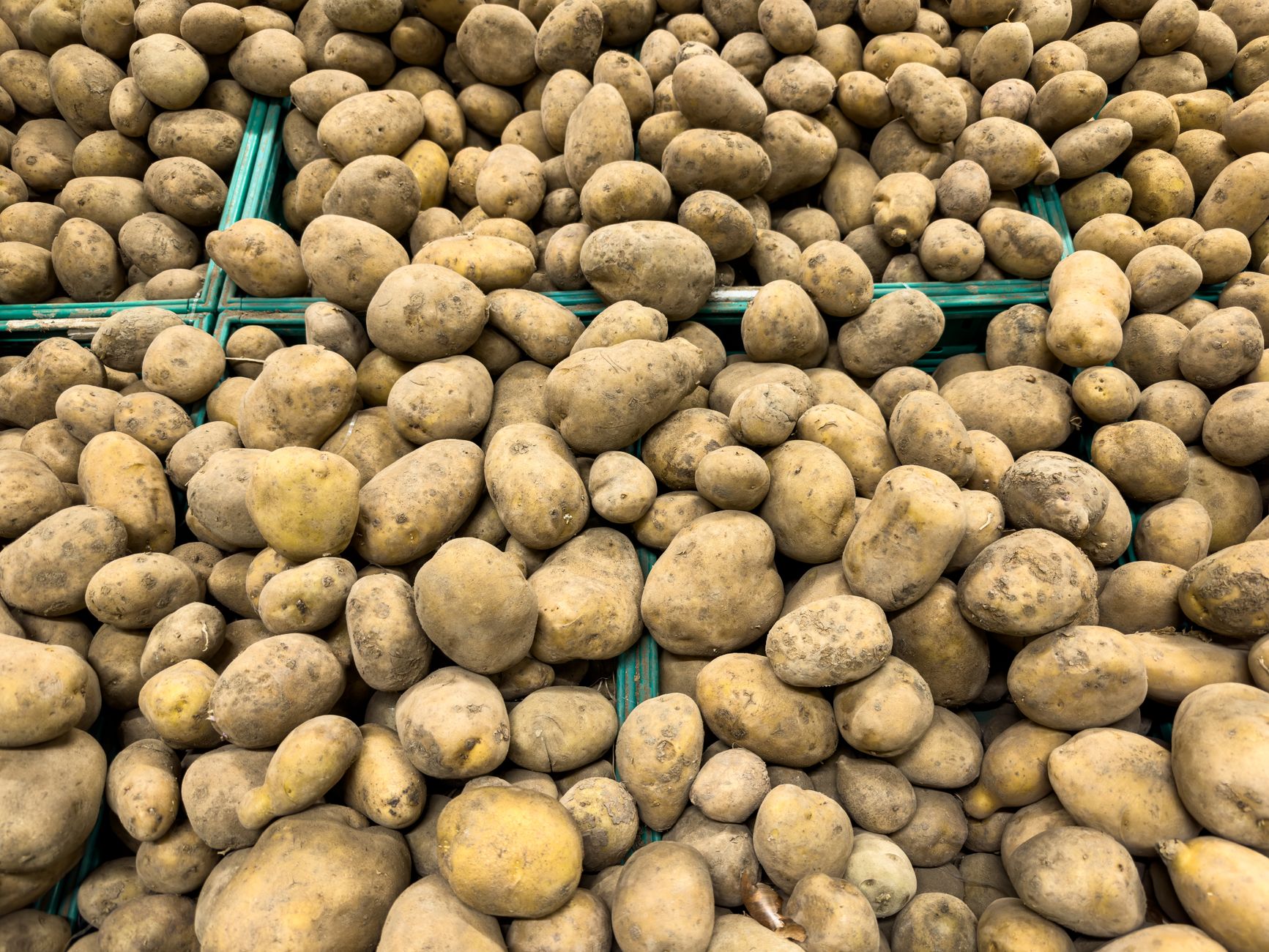 store potatoes, potato storage, keep potatoes fresh, sprout prevention, pantry tips