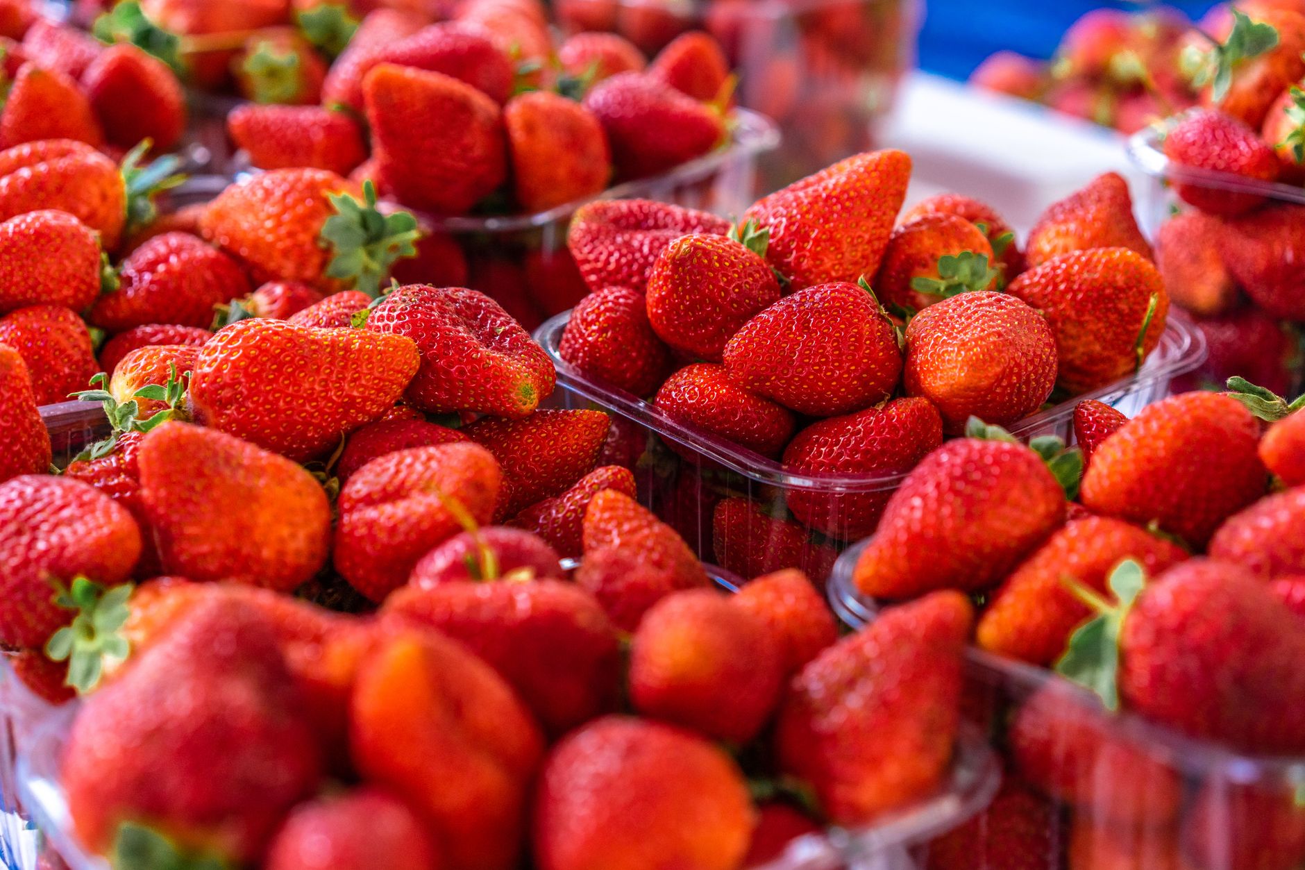 berries fresh, moldy berries, store berries, berry wash, produce storage